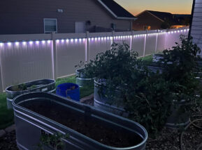 Raised metal garden beds with plants and soil sit on gravel beside a white fence decorated with string lights at dusk. Houses and a sunset are visible in the background.