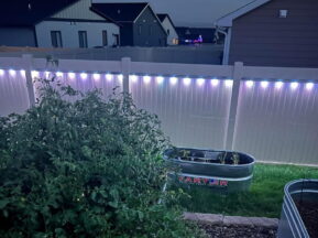 Tomato plants grow in a garden next to a white fence decorated with string lights. In the background, there is a metal planter and several houses under a dusky evening sky.